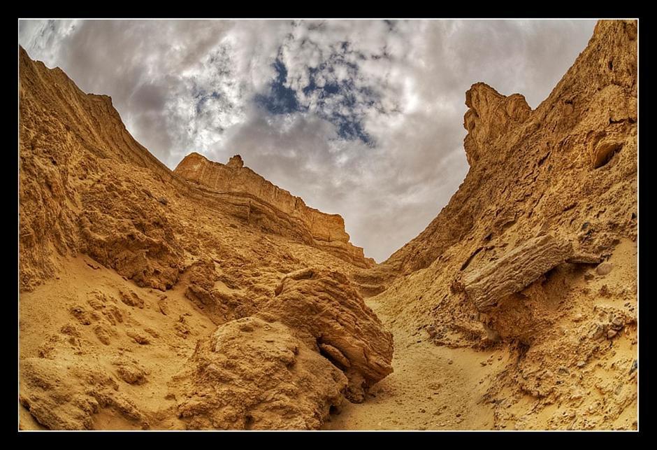 Desert View 아라드 외부 사진