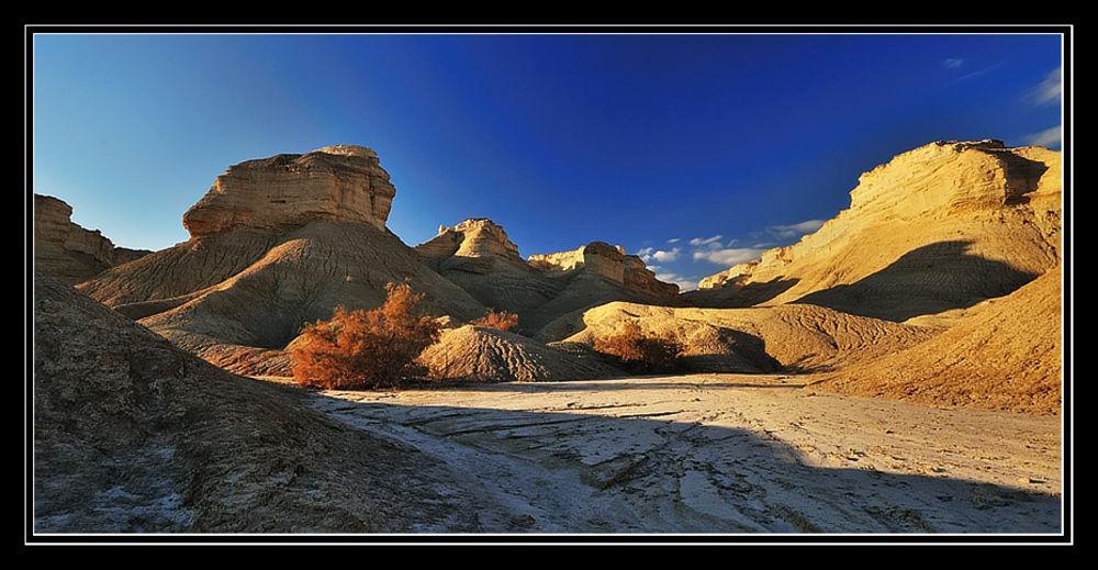 Desert View 아라드 외부 사진